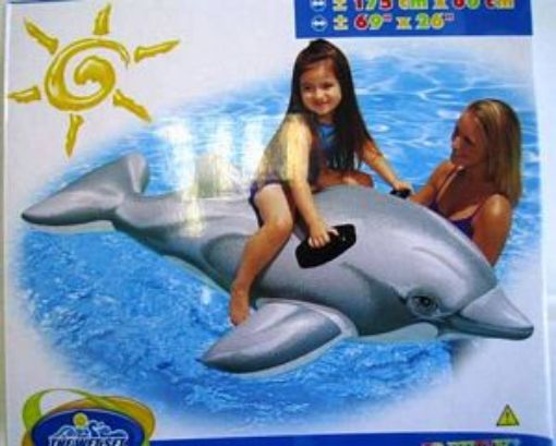Picture of Inflatable Dolphin Ride-On - No: 