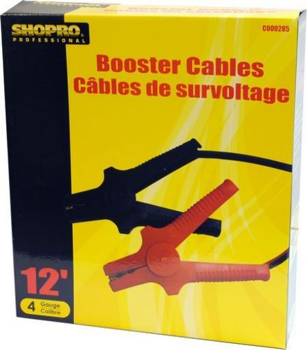 Picture of Cable Booster 4G 12Ft Promo - No: C000285
