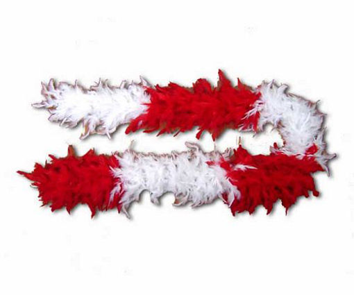 Picture of Boa Feather Red/White - No: PY762