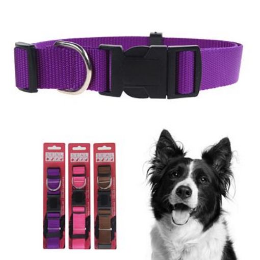Picture of Collar Adj, Nylon, Med, 2Cm - No: 20111PPD