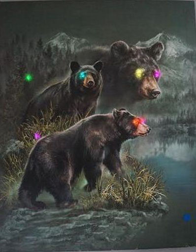 Picture of Dream Catcher 16X20in Led, Bear - No DCL2003