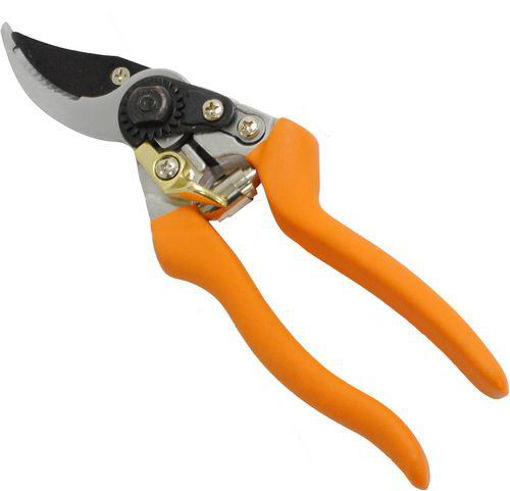 Picture of Pruner Swiss Style Teflon Bld - No P011303