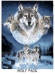 Picture of Blanket Mink Millennium 80"X96" - No BLANKET