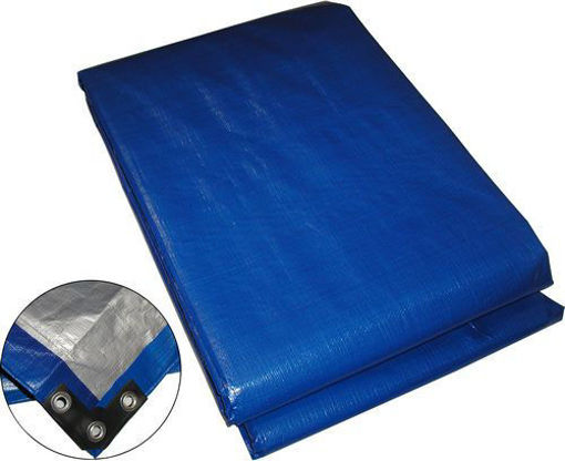 Picture of Tarp 8X10 6Ml Hd Sil/Blue - No T004156
