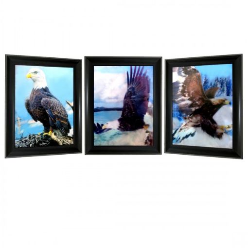 Picture of Picture 3D,Triple Image Flying Eagle - No 3D-317