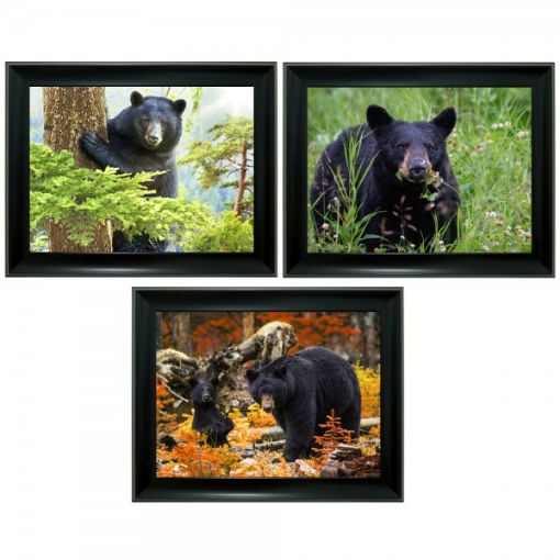 Picture of Picture 3D, Triple Im.Black Bear - No 3D-329