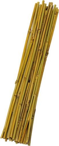 Picture of Bamboo Stakes 25Pk 3Ft - No B000283N