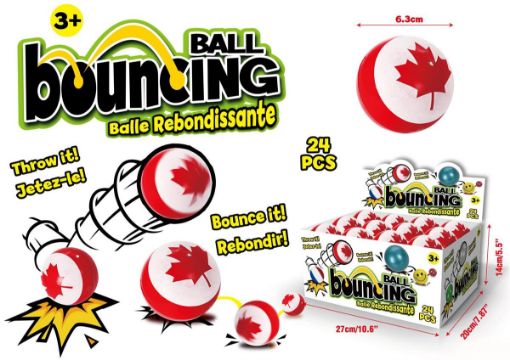 Picture of Sponge Ball 2.5in Canada - No 07994